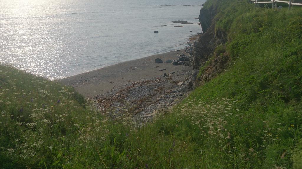 Les Cabines Sur Mer Cap-des-Rosiers ภายนอก รูปภาพ