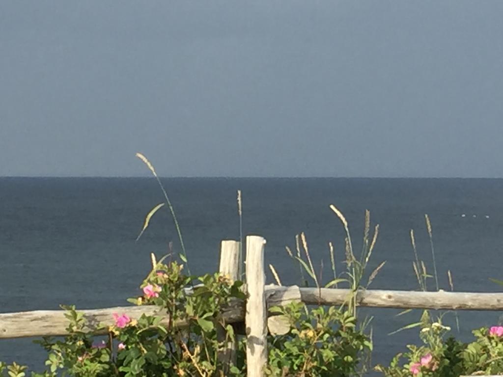 Les Cabines Sur Mer Cap-des-Rosiers ภายนอก รูปภาพ